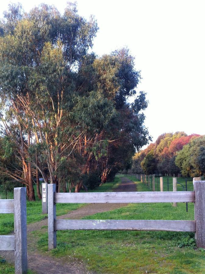The Estate Koroit Boutique Hotel Екстериор снимка
